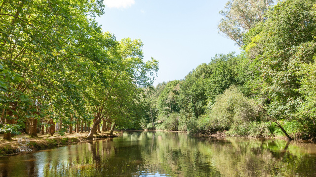 Río Mandeo