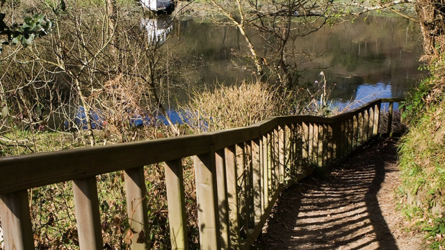 Naturaleza y Camino Inglés